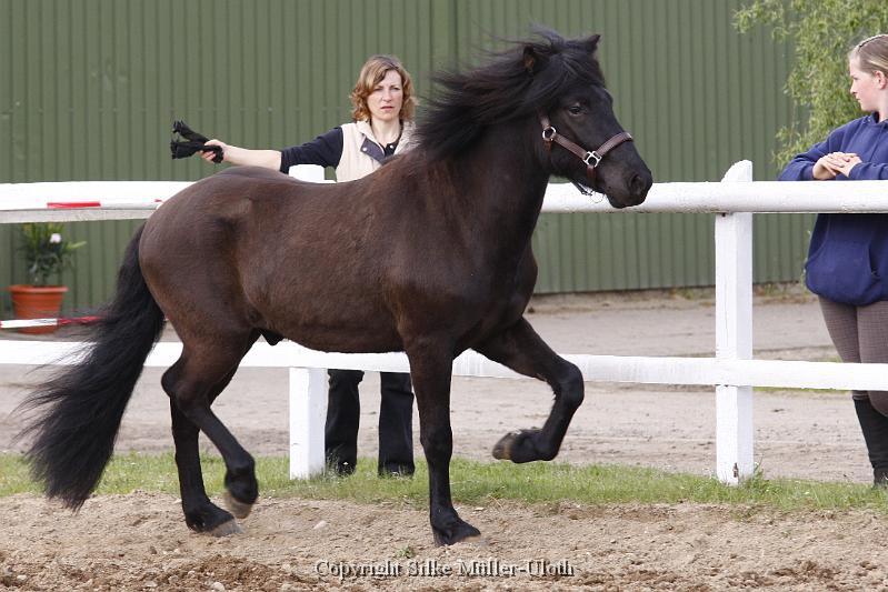 Noah von Heidmoor (13).JPG